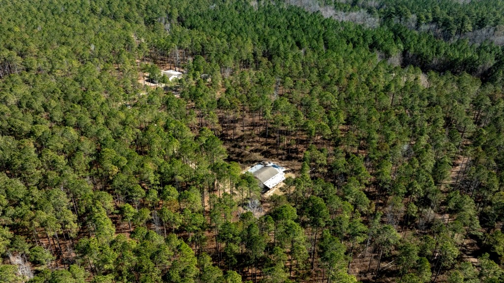 Lighter Knot Farm Photo