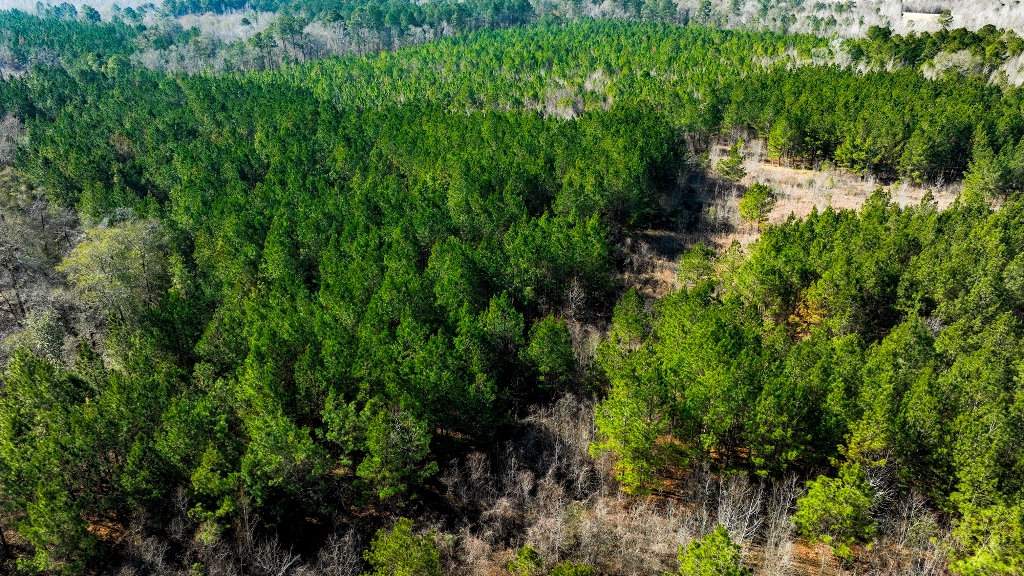 Richardson Creek Retreat – Tract 2 Photo