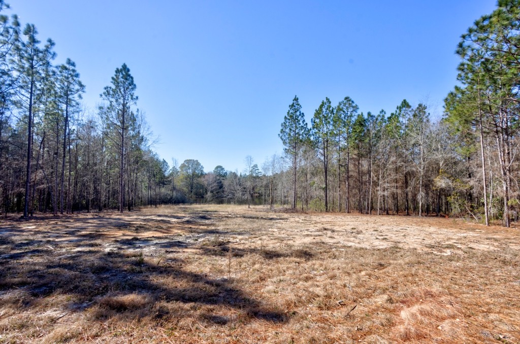 Sylvester Acres Photo