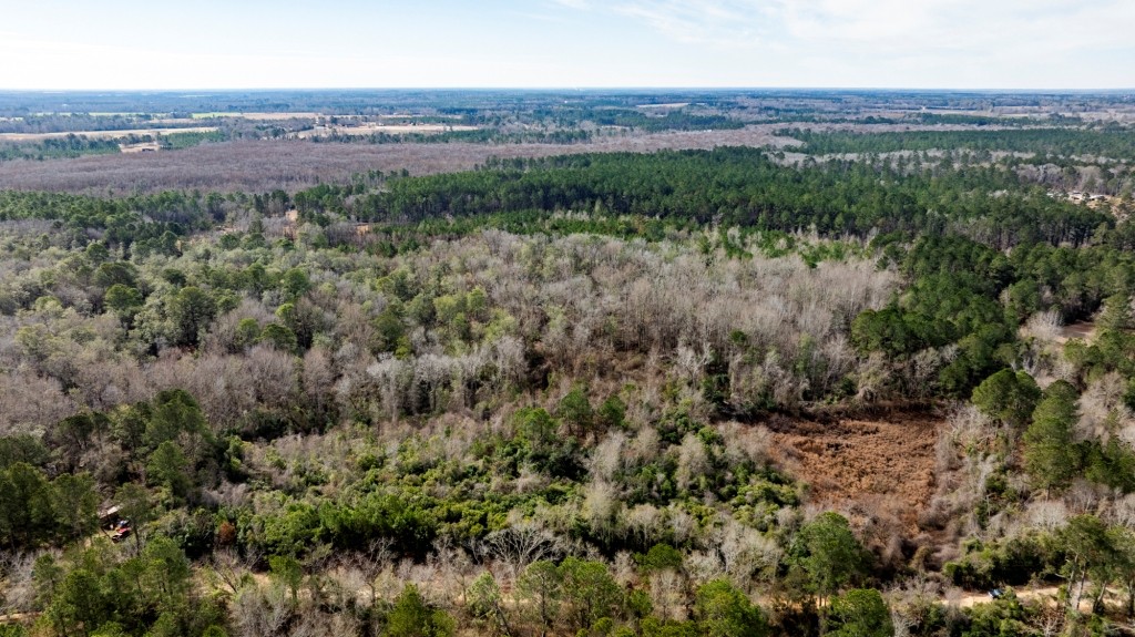 Bulloch Homeplace Photo