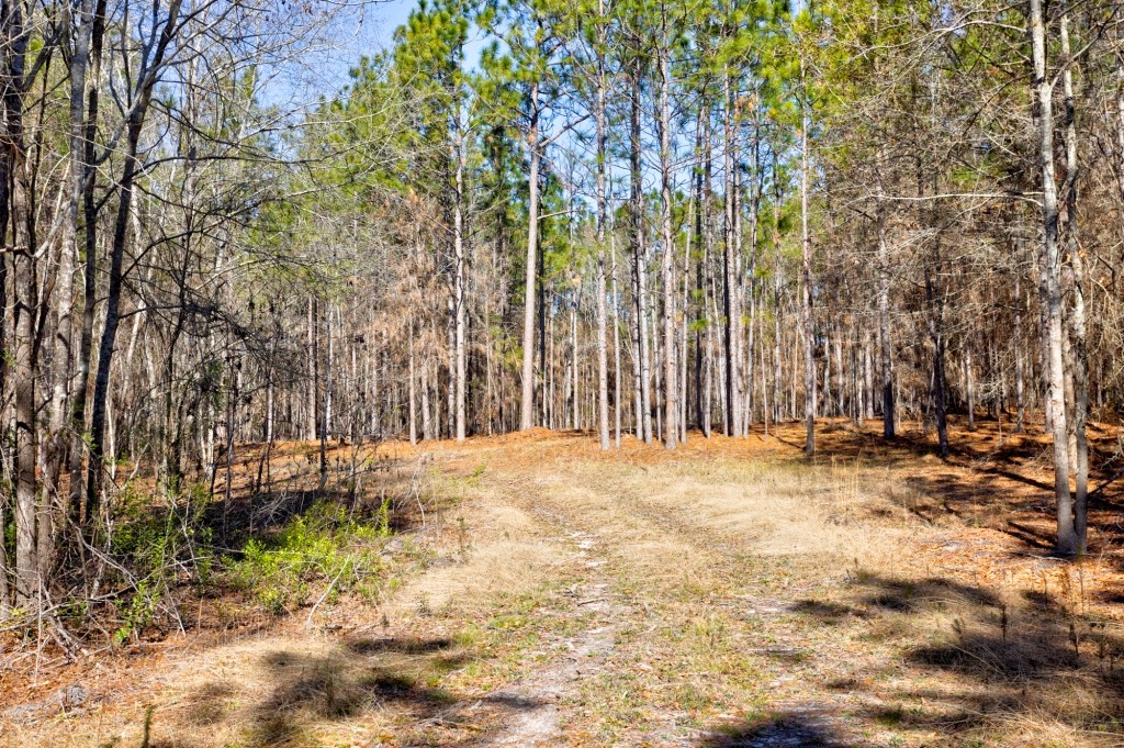 Sylvester Acres Photo