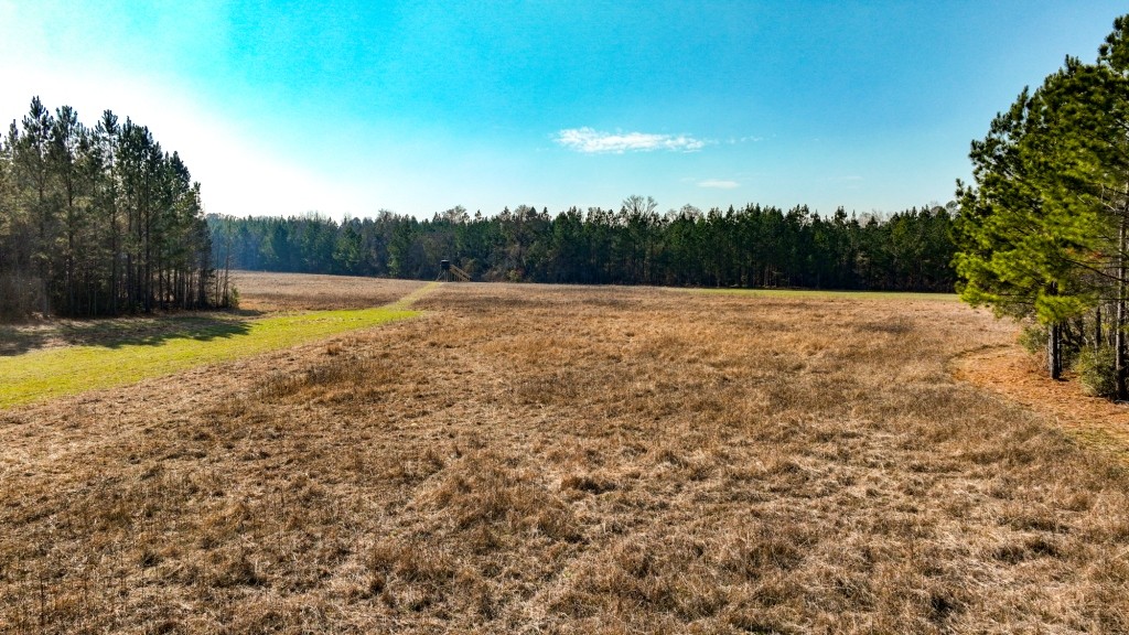 Richardson Creek Retreat Photo