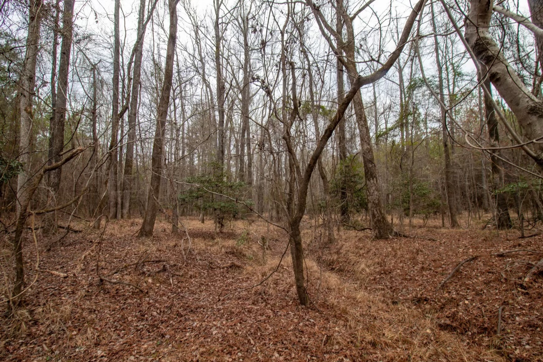 Harris Homestead Photo