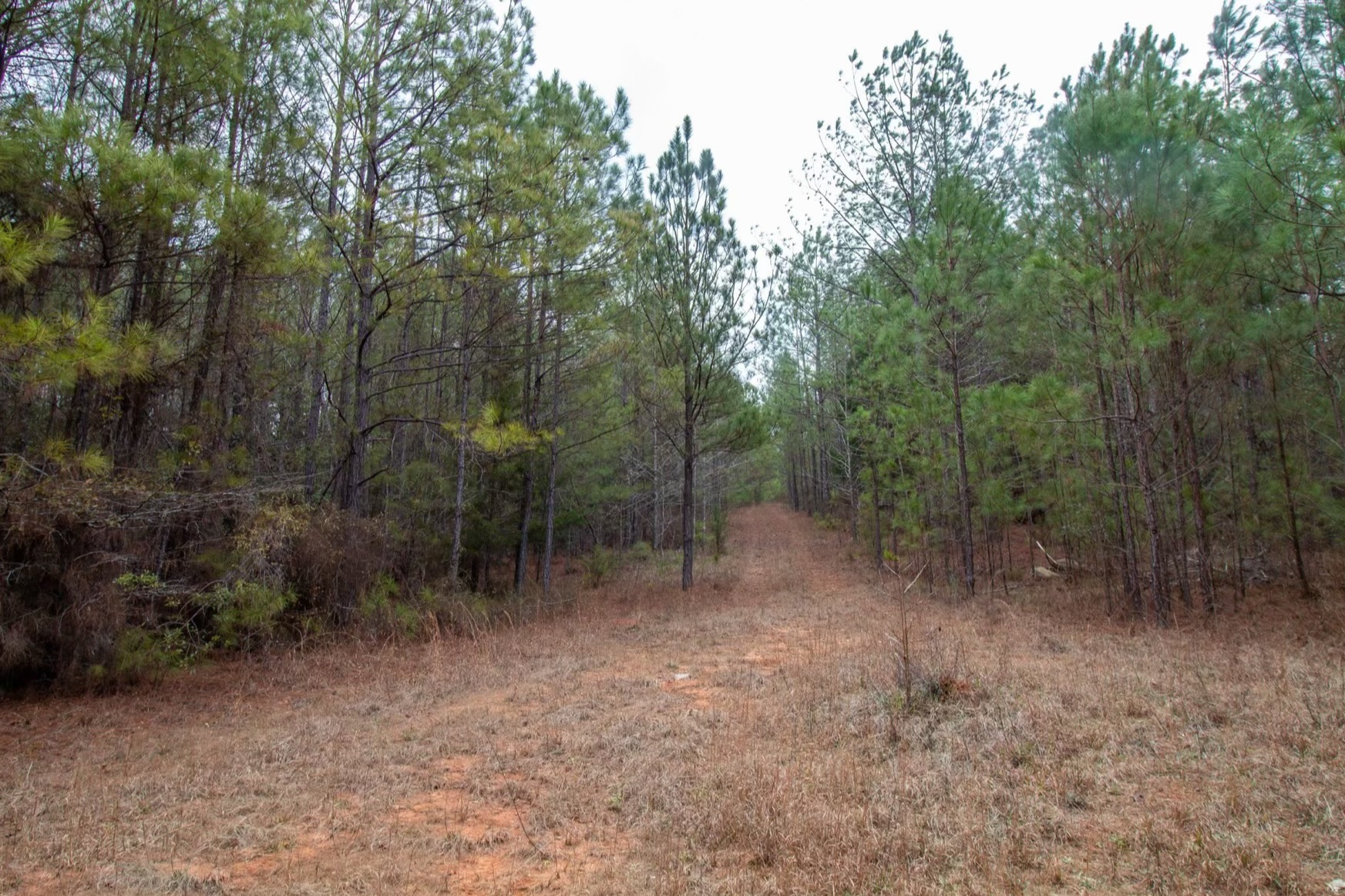 Harris Homestead Photo