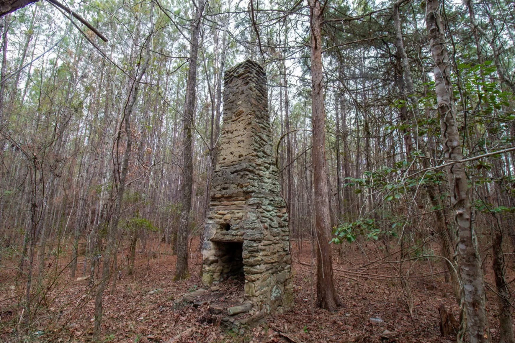 Harris Homestead Photo