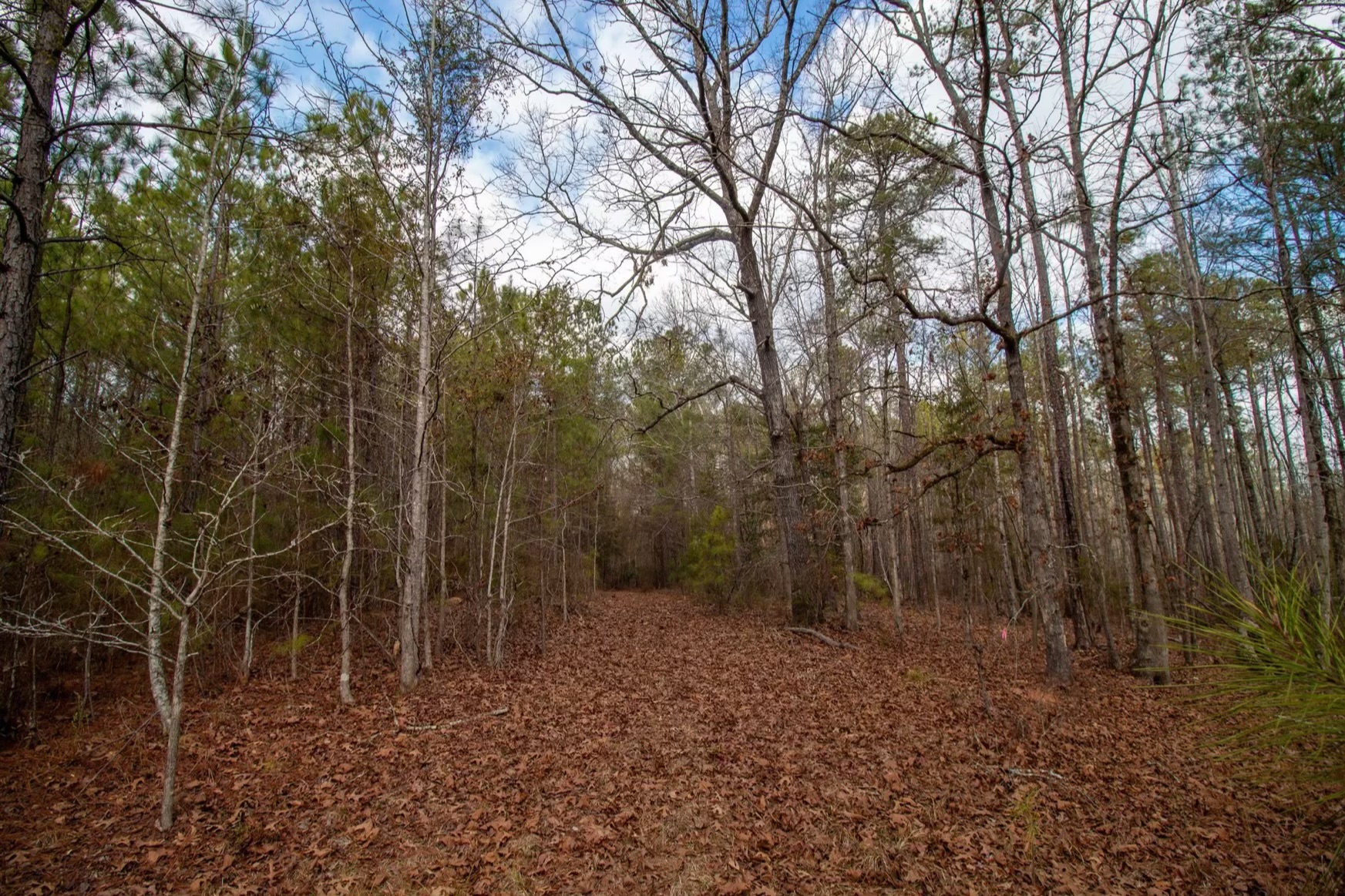 Harris Homestead Photo