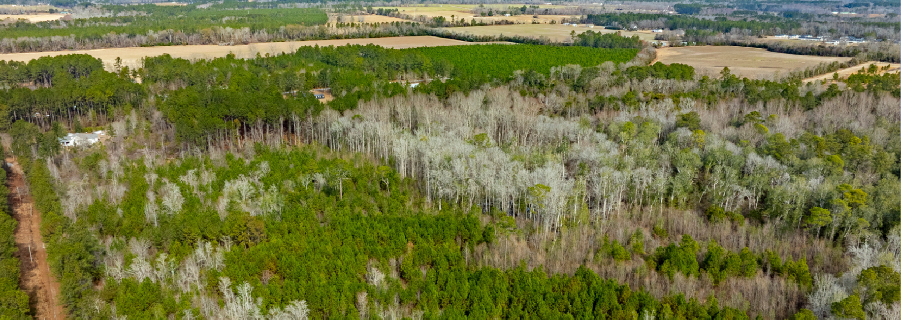 Bulloch Homeplace Main Photo