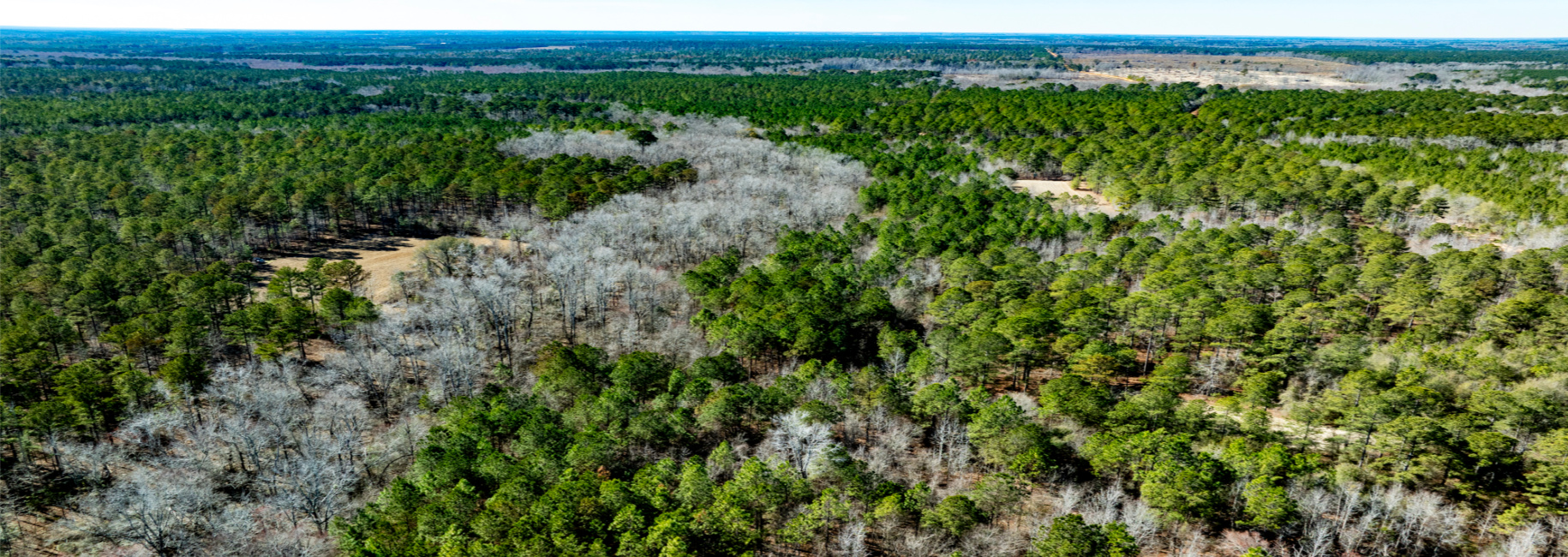 Lighter Knot Farm Main Photo