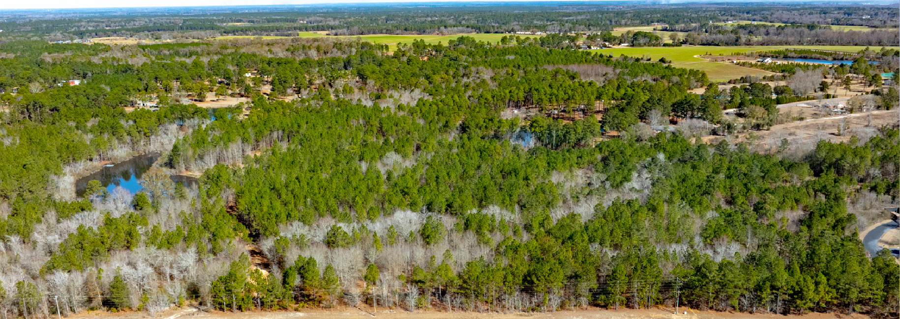 Sylvester Acres Main Photo