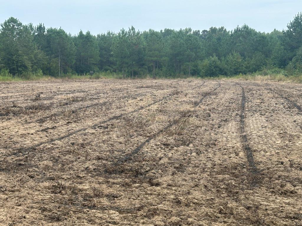 Perkins Hunting Retreat Photo