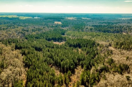 Richardson Creek Retreat – Tract 2