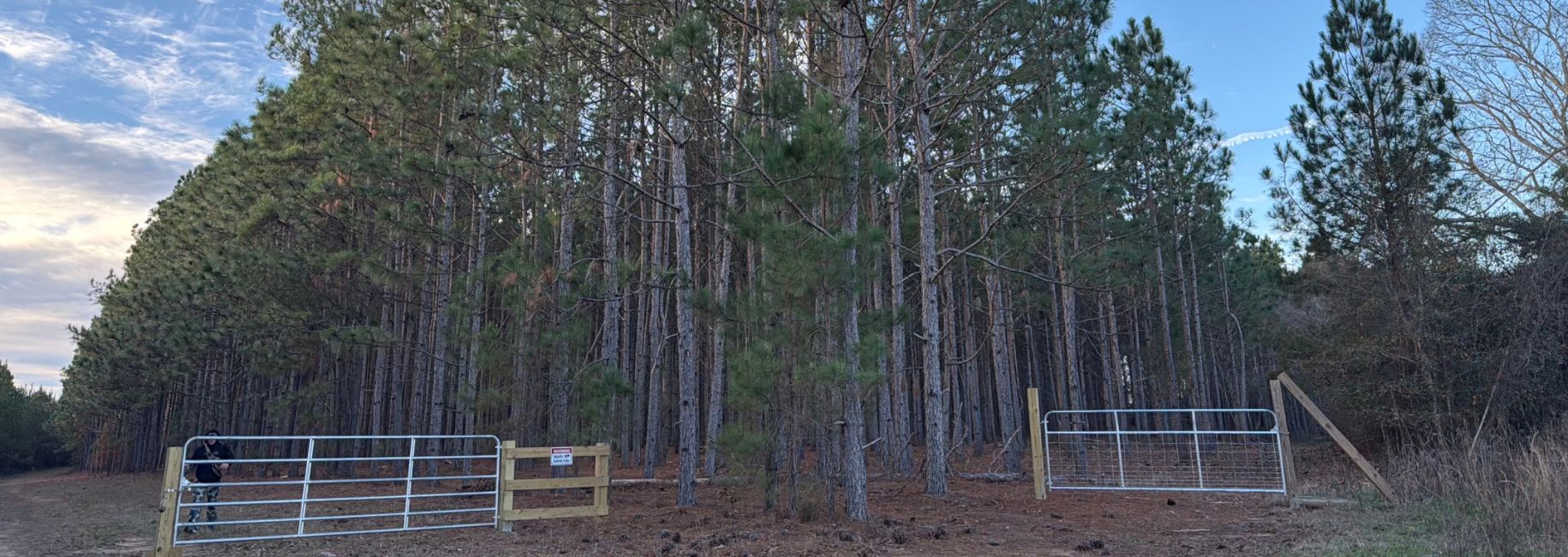 Dorsey Clark Pines Main Photo