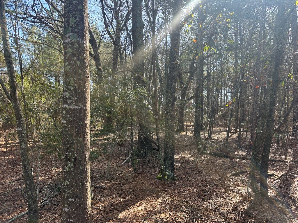 Old Dixie Highway Photo