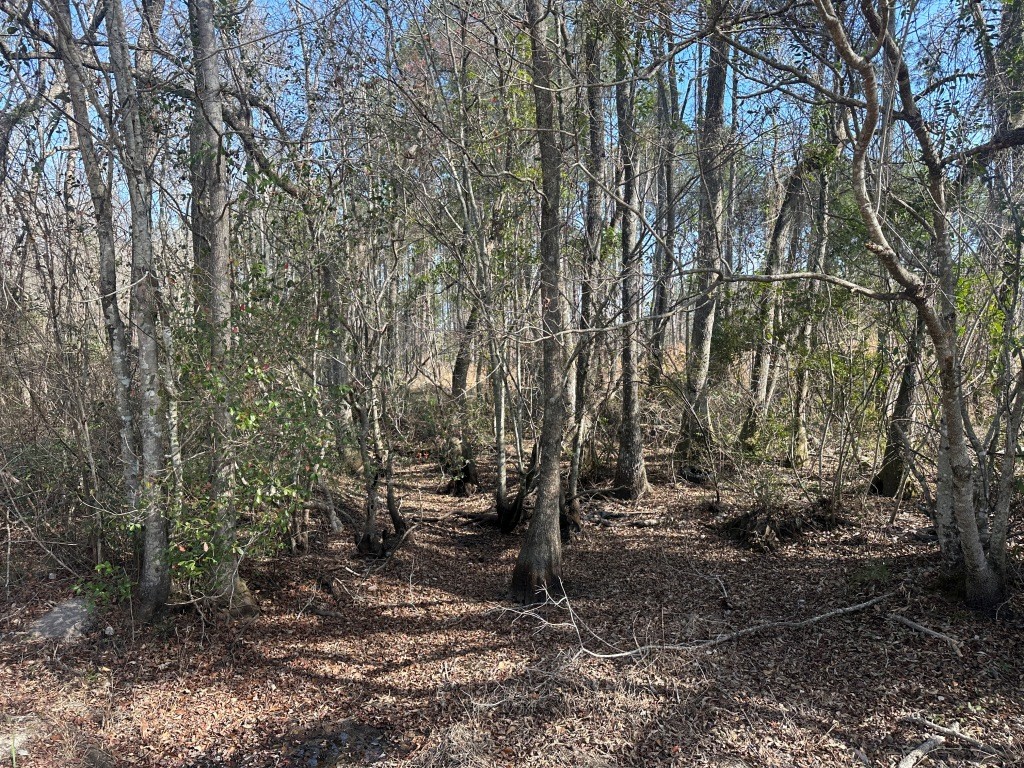 Old Dixie Highway Photo