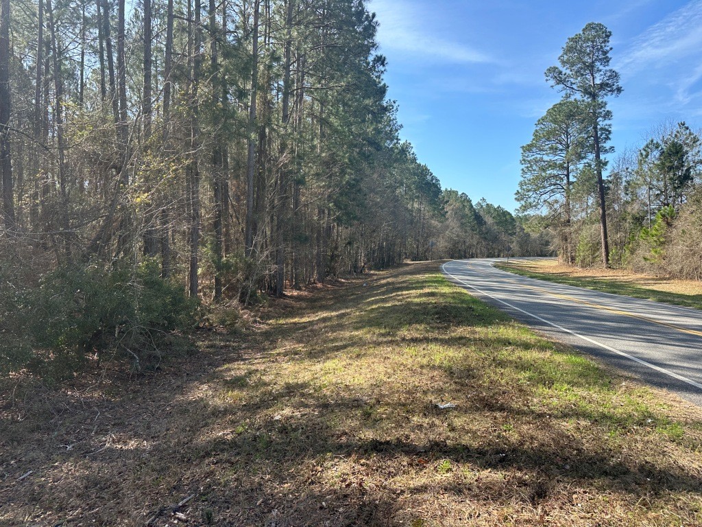 Old Dixie Highway Photo