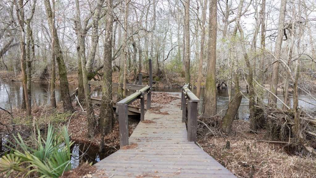 4980 Coleman Bridge Spur Photo