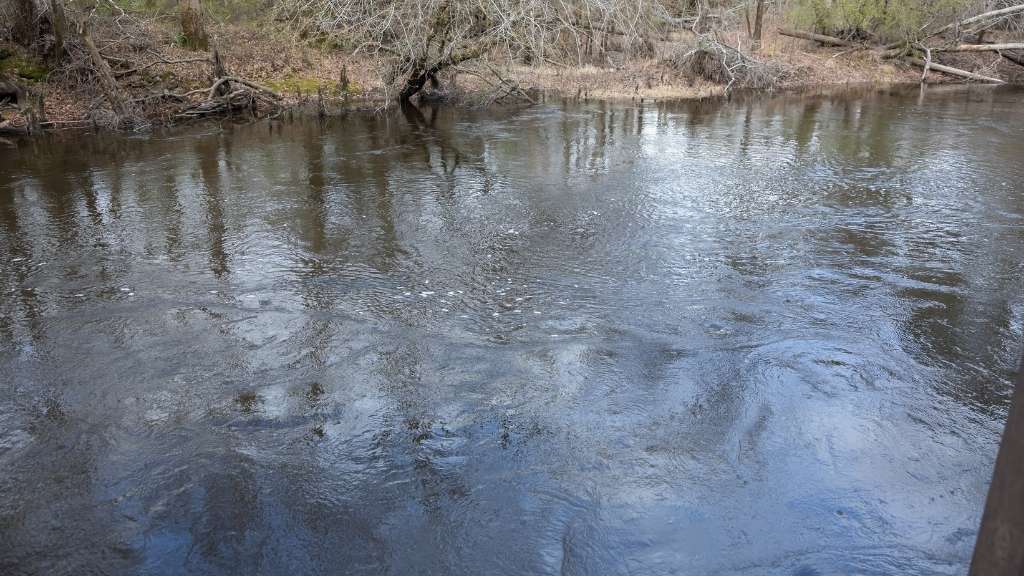 4980 Coleman Bridge Spur Photo
