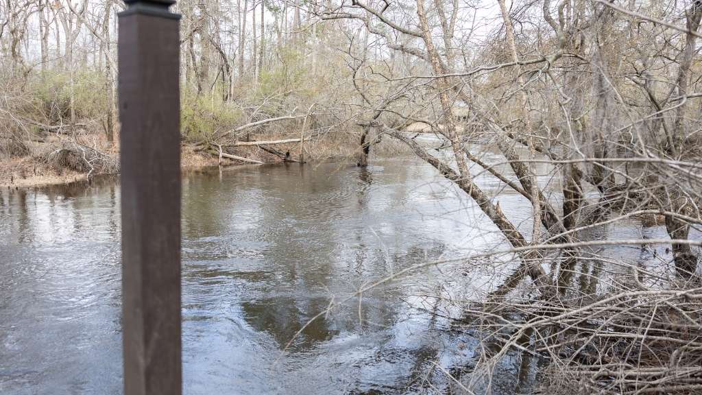 4980 Coleman Bridge Spur Photo