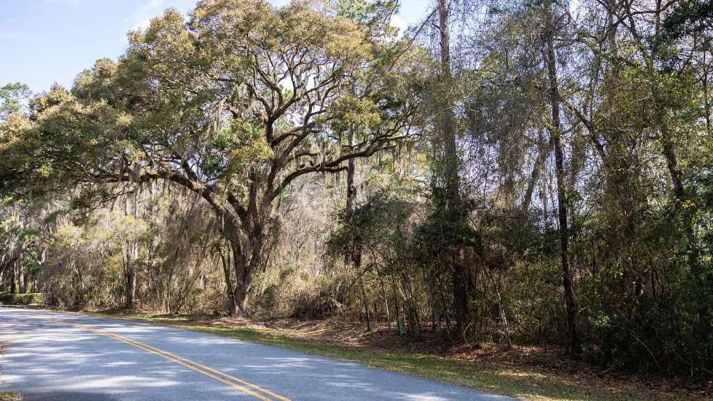 116 Butler Lake Drive Photo