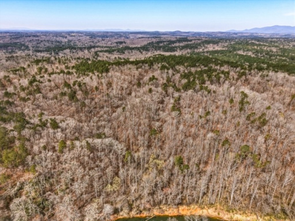 Etowah River Plantation Photo
