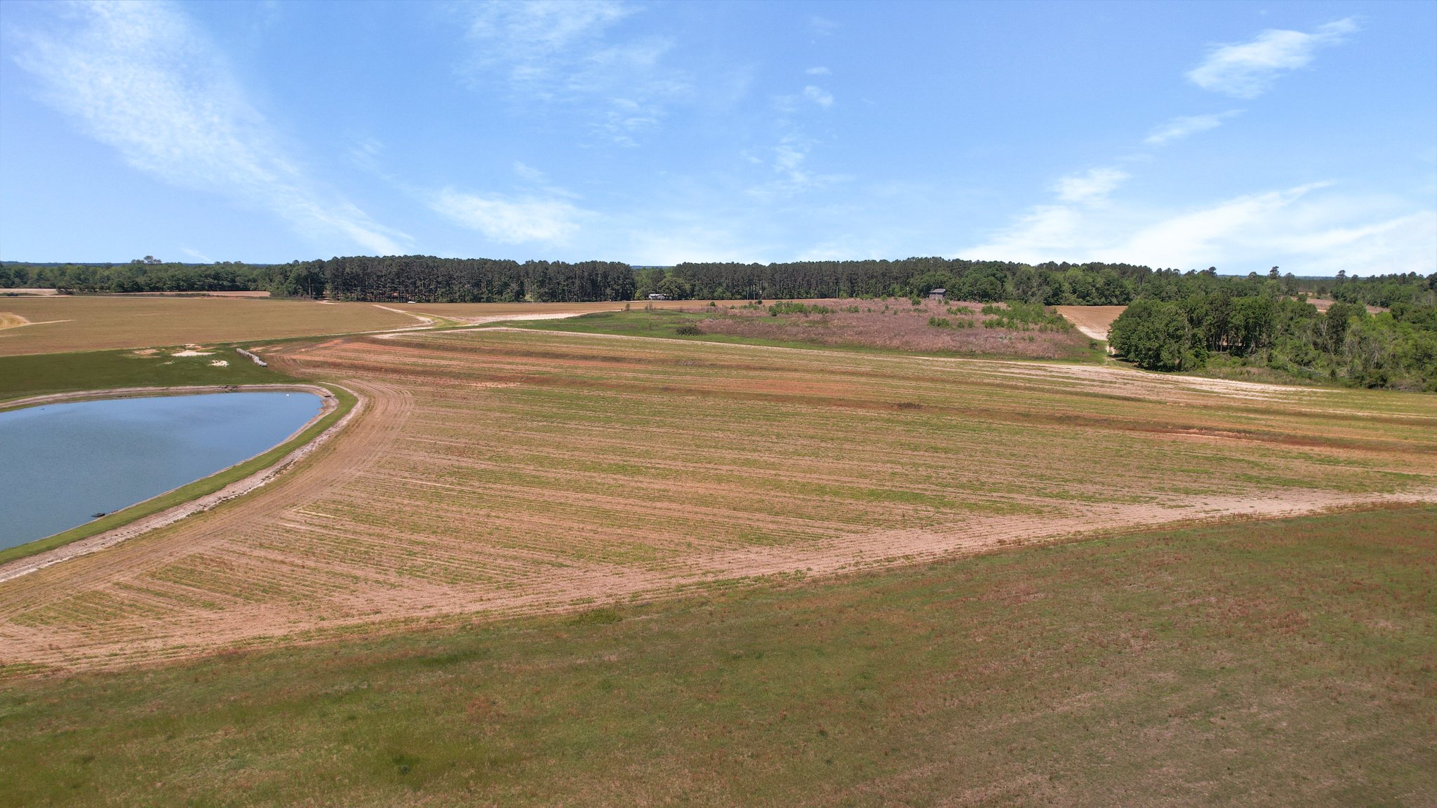 Middleground Road Photo