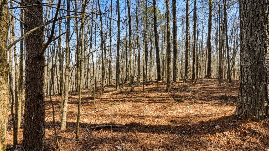 Etowah River Plantation Photo