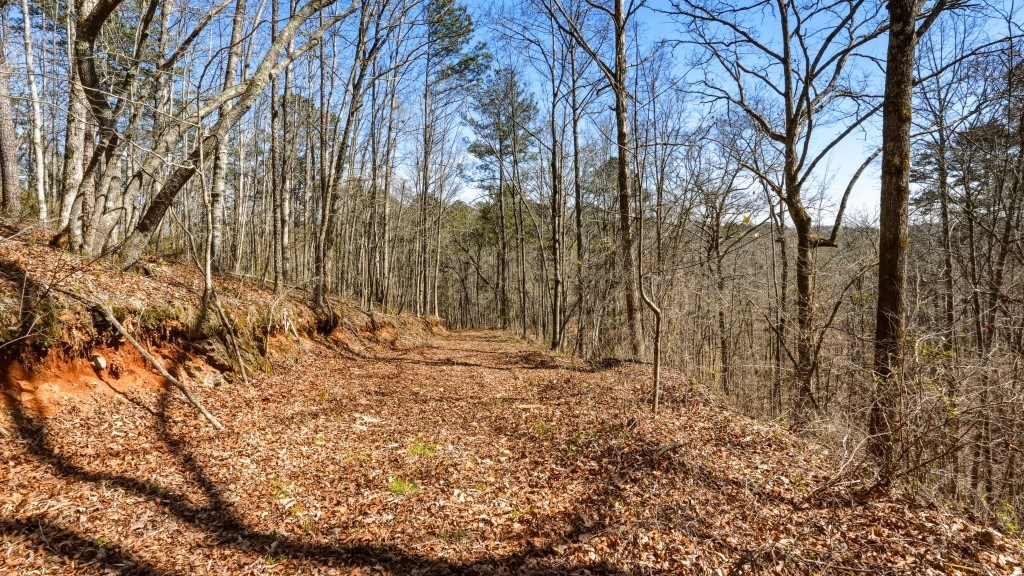 Etowah River Plantation Photo