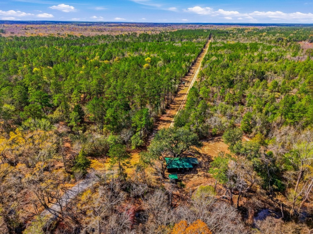 Twin Rivers Plantation Photo