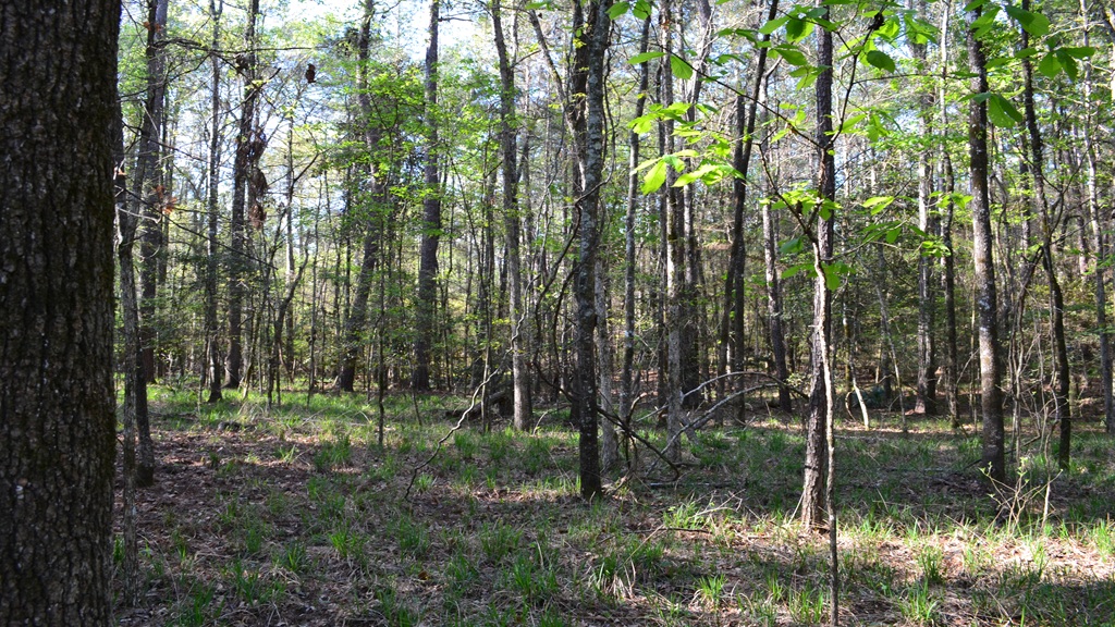 Bluewater Retreat Photo