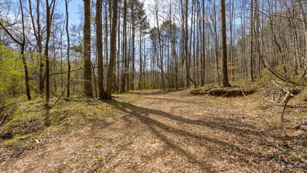Etowah River Plantation Photo
