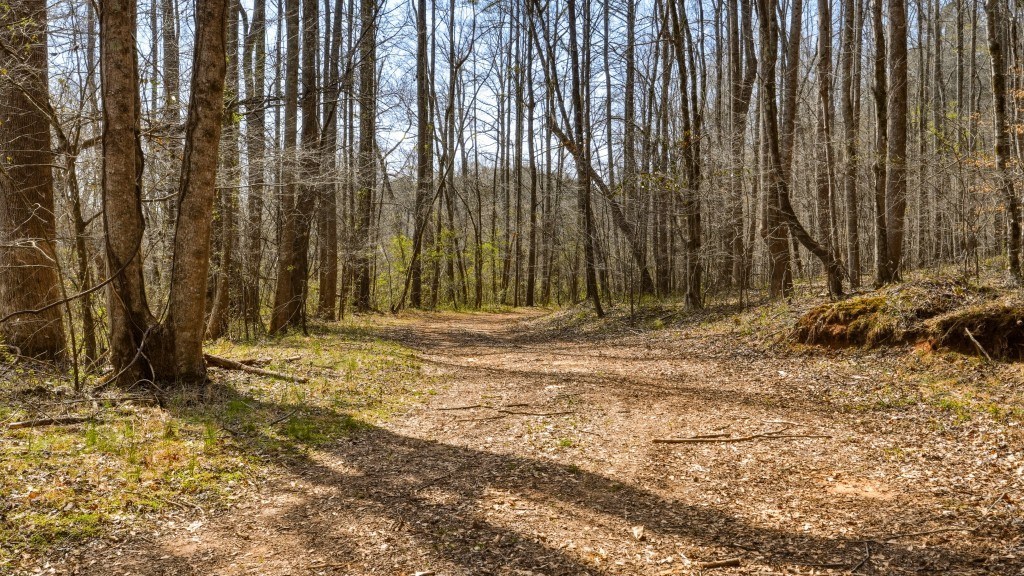 Etowah River Plantation Photo