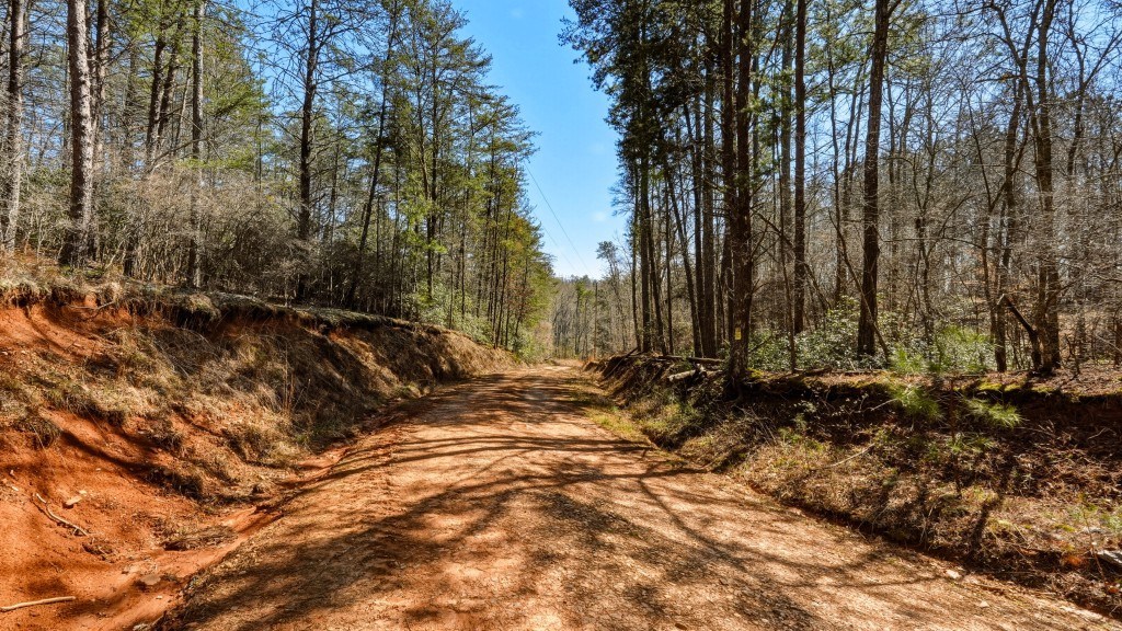 Etowah River Plantation Photo