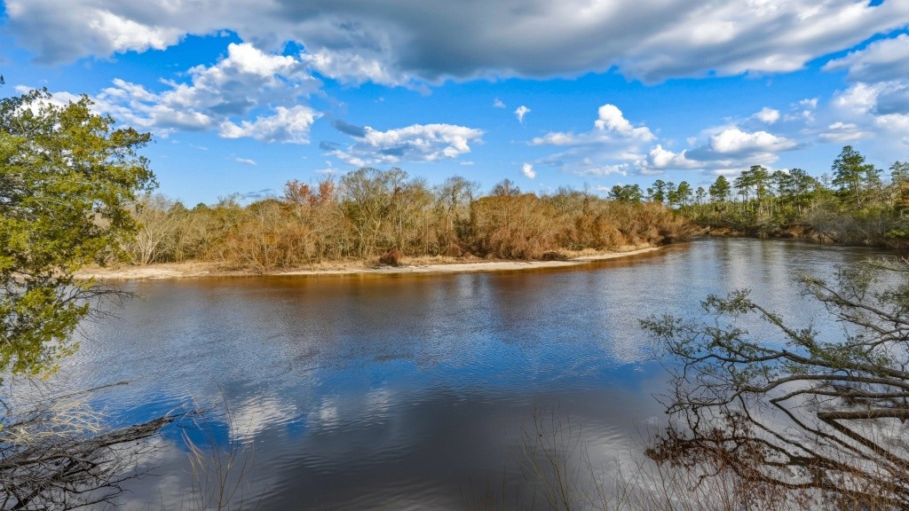 Twin Rivers Plantation Photo