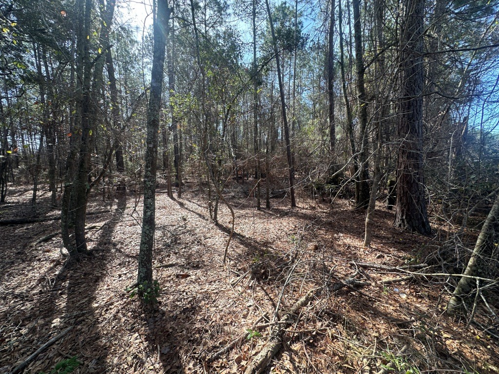 Old Dixie Highway Photo