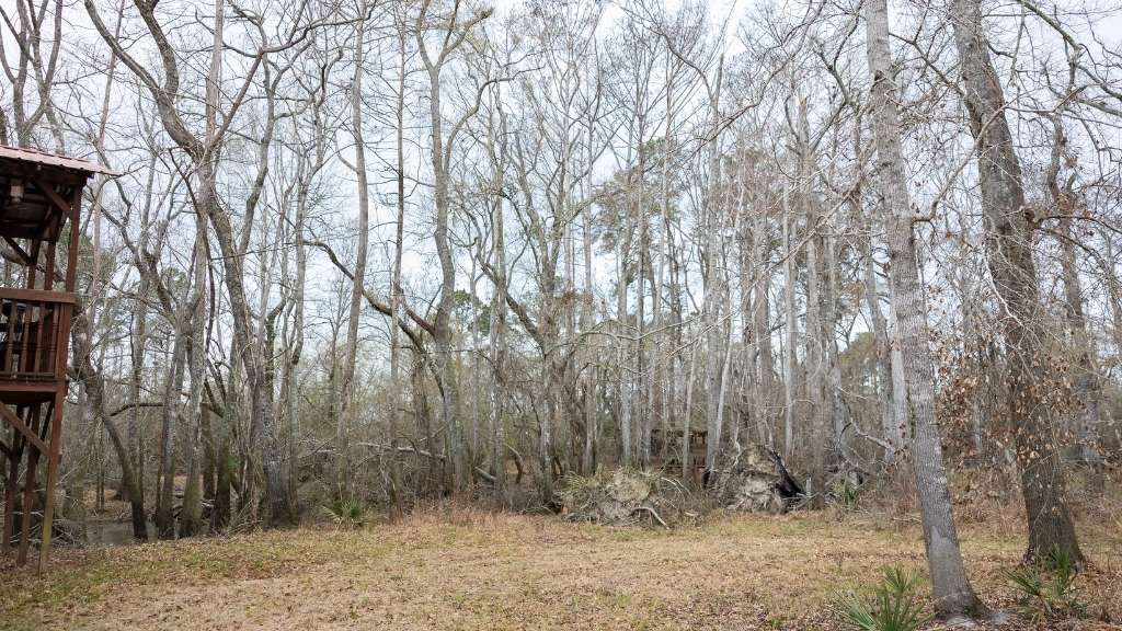 5230 Coleman Bridge Spur Photo