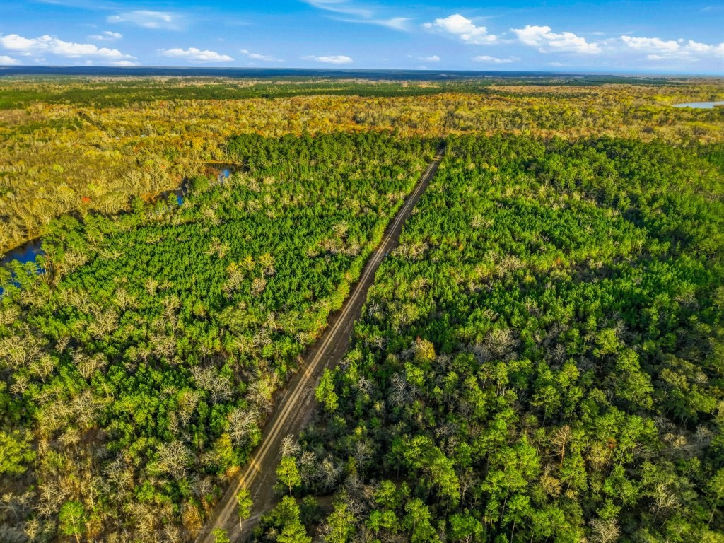 Twin Rivers Plantation Photo