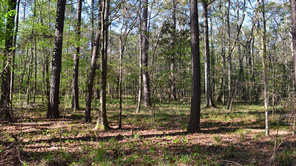 Bluewater Retreat Photo