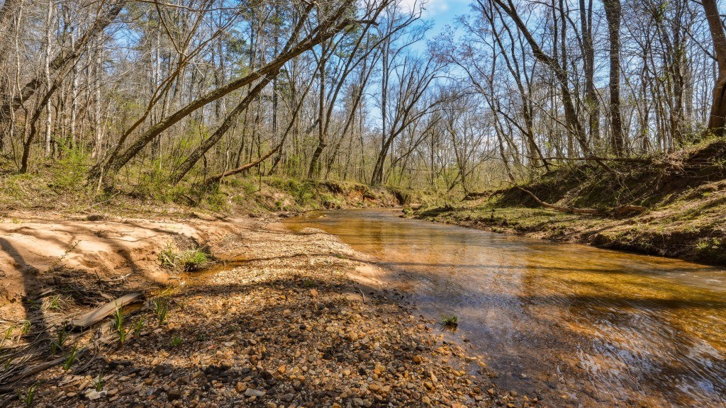 Etowah River Plantation Photo