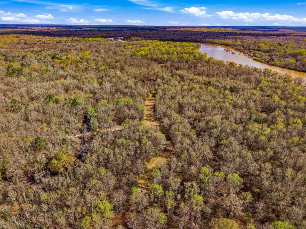 Twin Rivers Plantation Photo