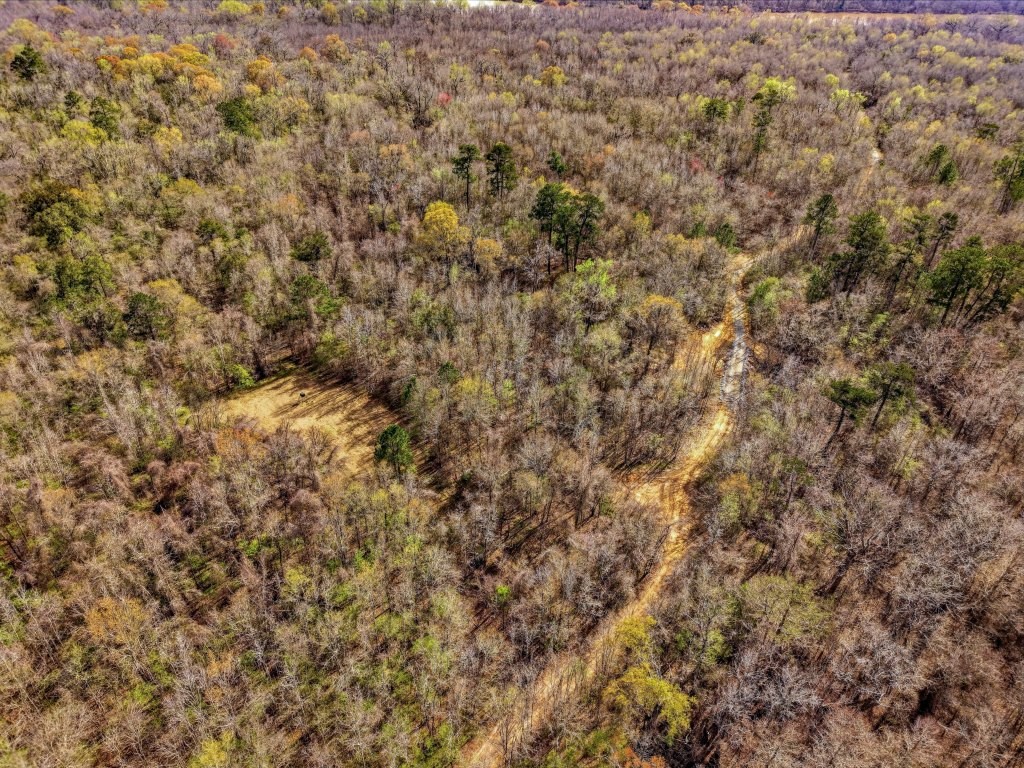 Twin Rivers Plantation Photo