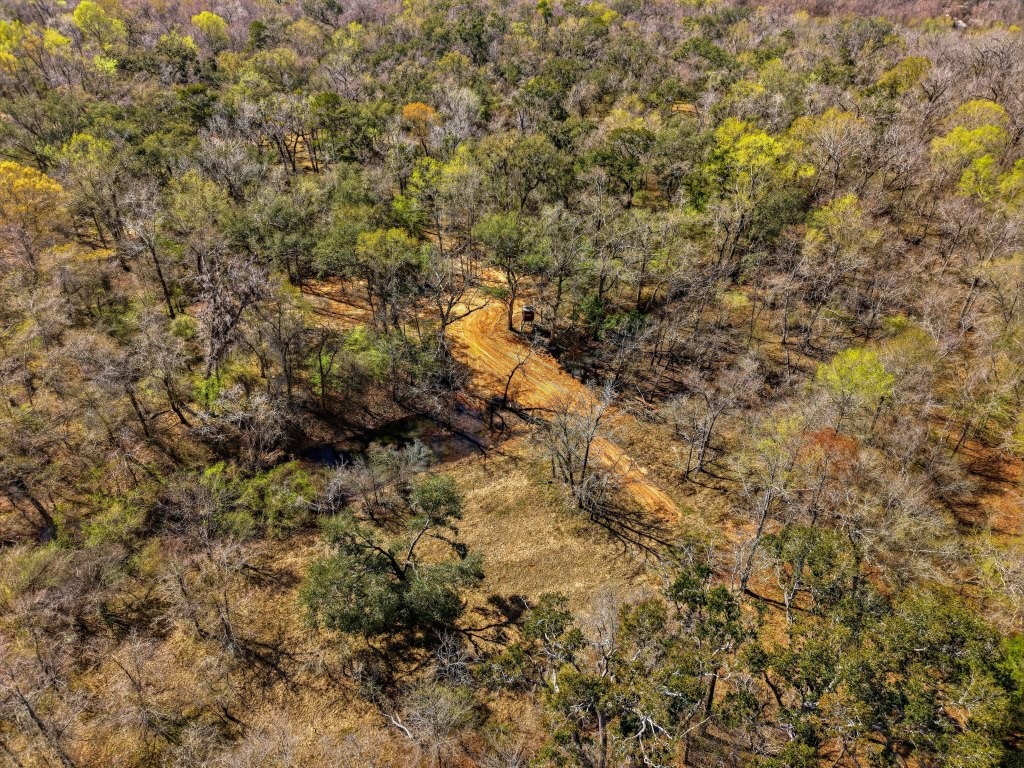 Twin Rivers Plantation Photo