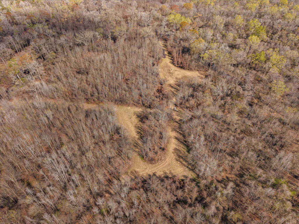 Twin Rivers Plantation Photo