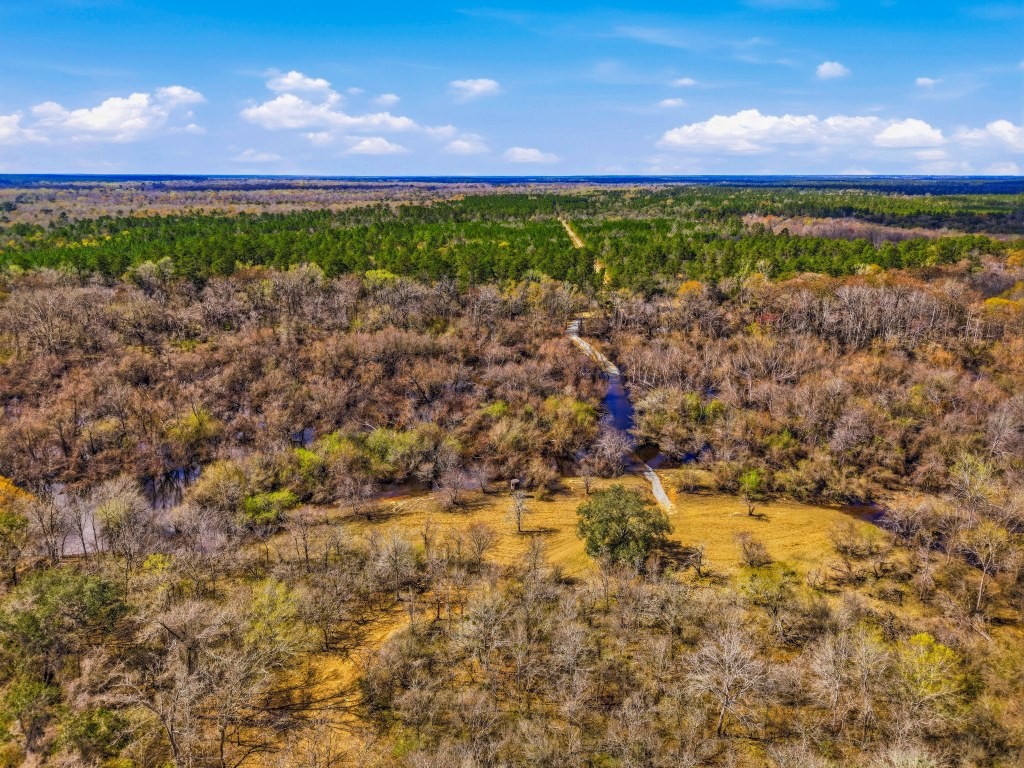 Twin Rivers Plantation Photo