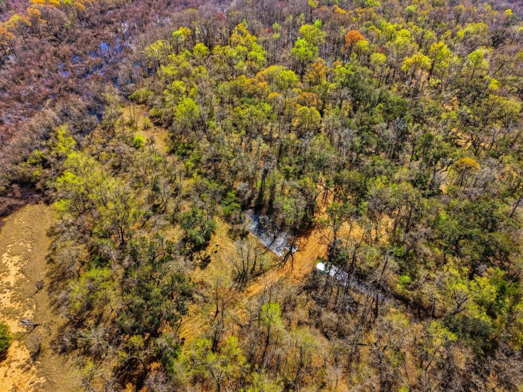 Twin Rivers Plantation Photo