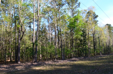 Bluewater Retreat Photo