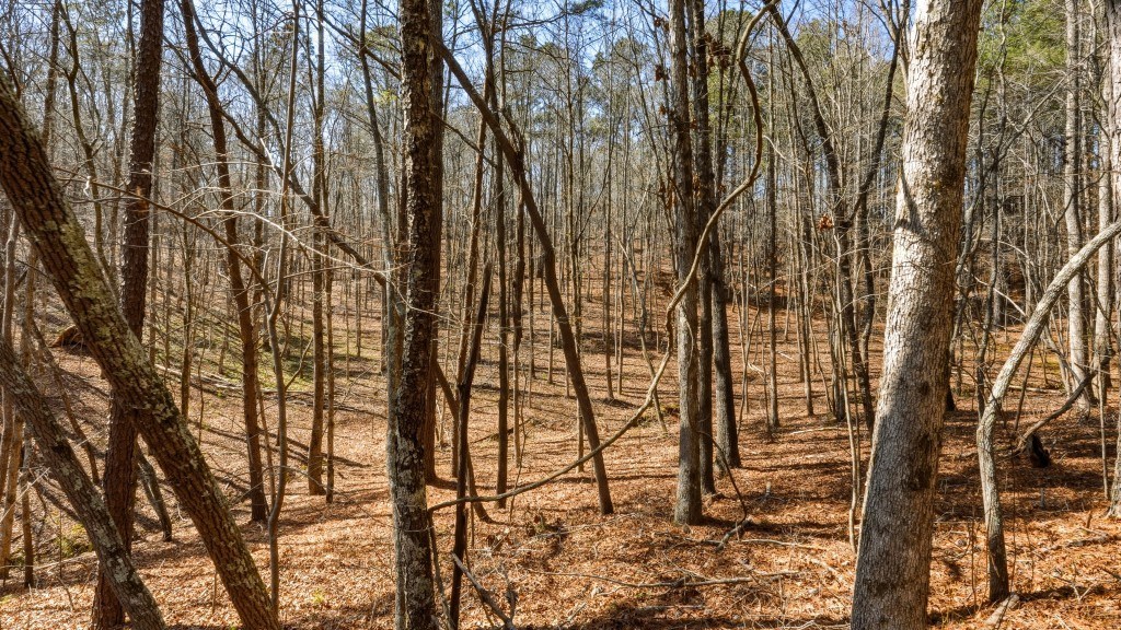 Etowah River Plantation Photo