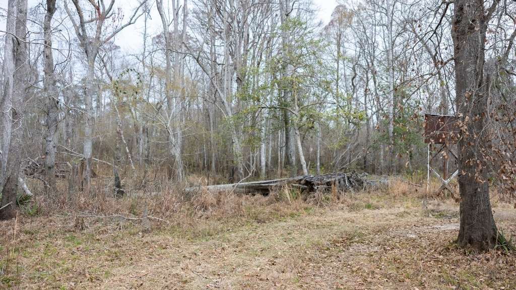 5230 Coleman Bridge Spur Photo