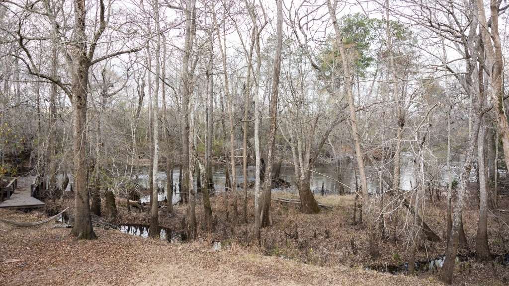 4980 Coleman Bridge Spur Photo