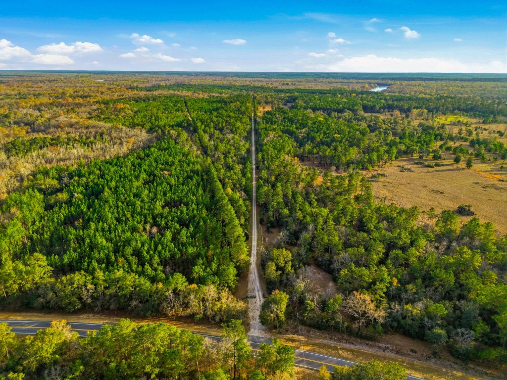 Twin Rivers Plantation Photo