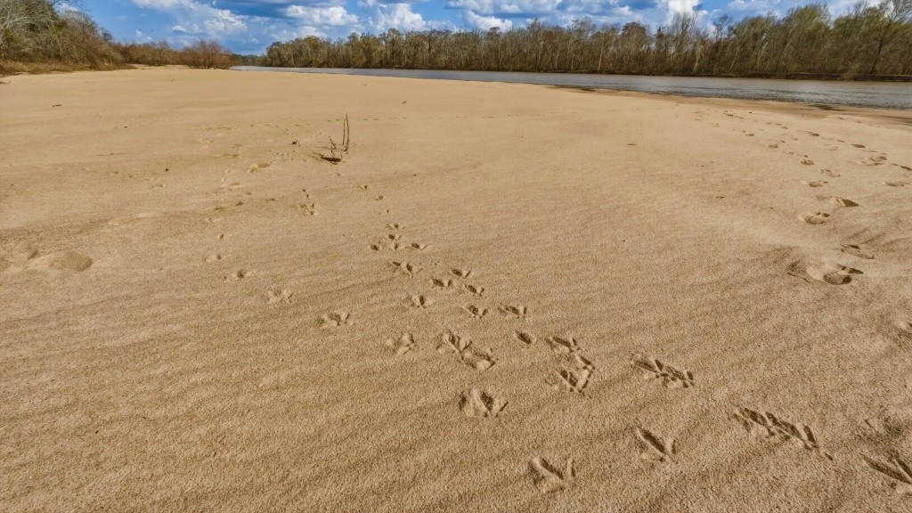Twin Rivers Plantation Photo